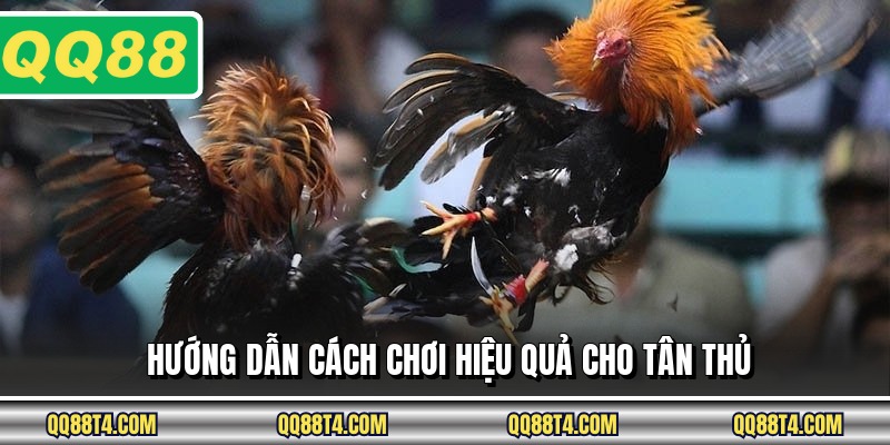 Hướng dẫn cách chơi hiệu quả cho tân thủ